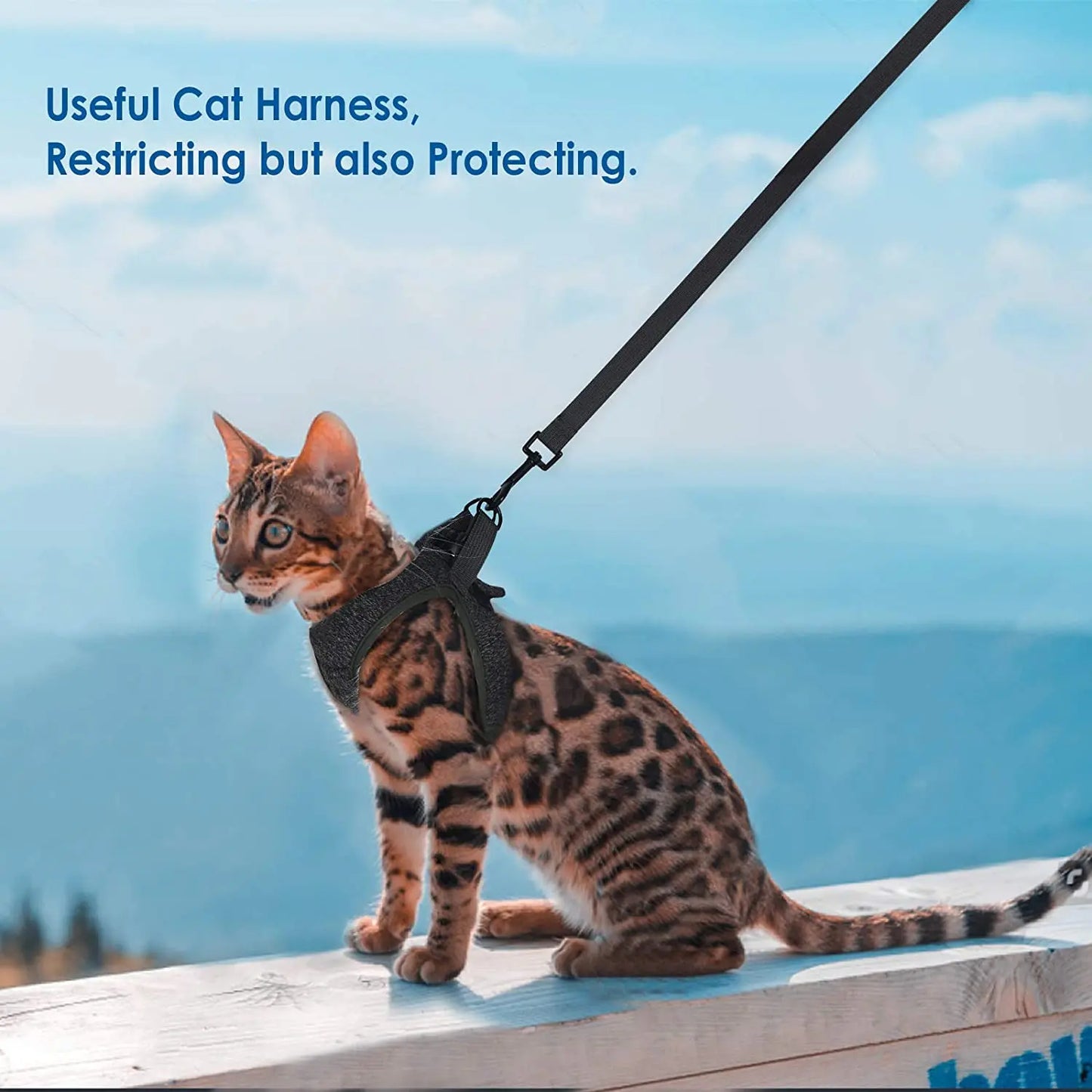 Anti-Escape Kitten Harness & Leash Set