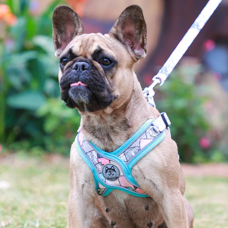 Adjustable Dog Harness & Leash Set