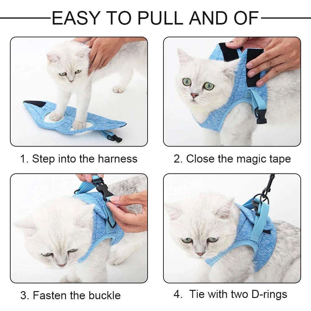 Anti-Escape Kitten Harness & Leash Set