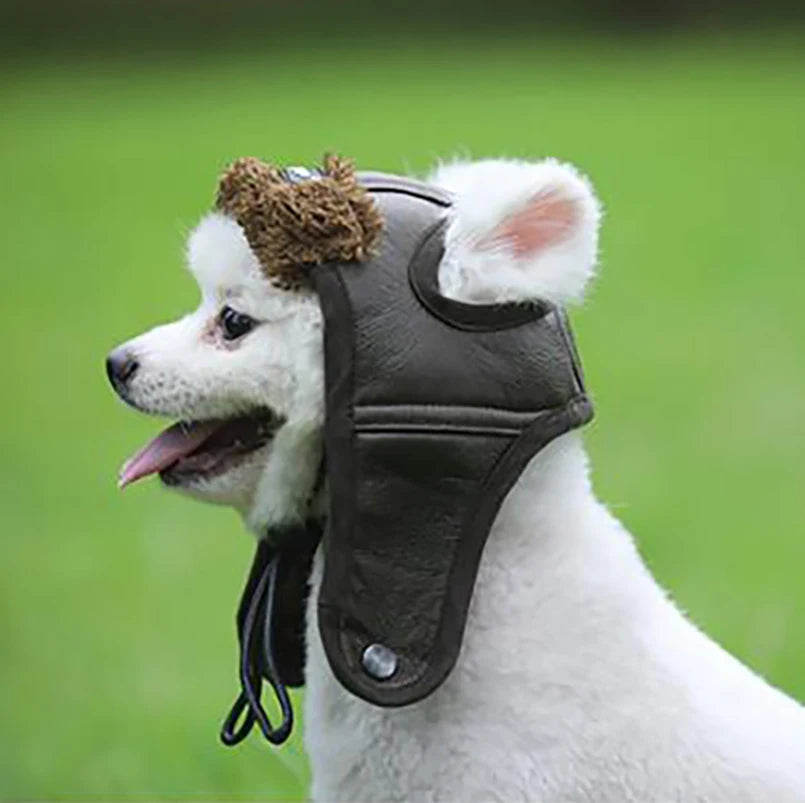 Cashmere Winter Hat for Small Dogs & Puppies