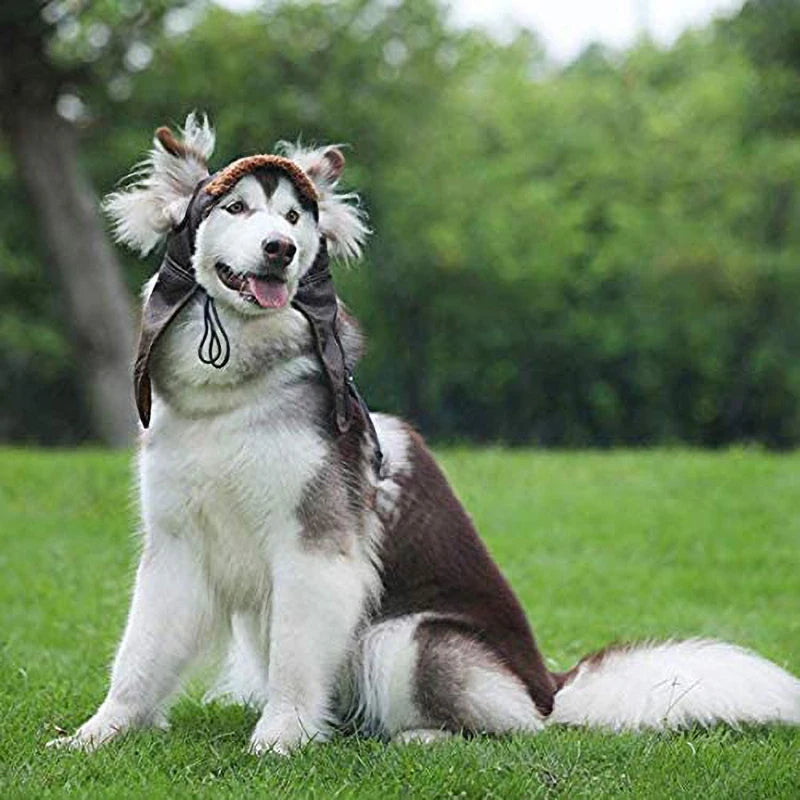 Cashmere Winter Hat for Small Dogs & Puppies