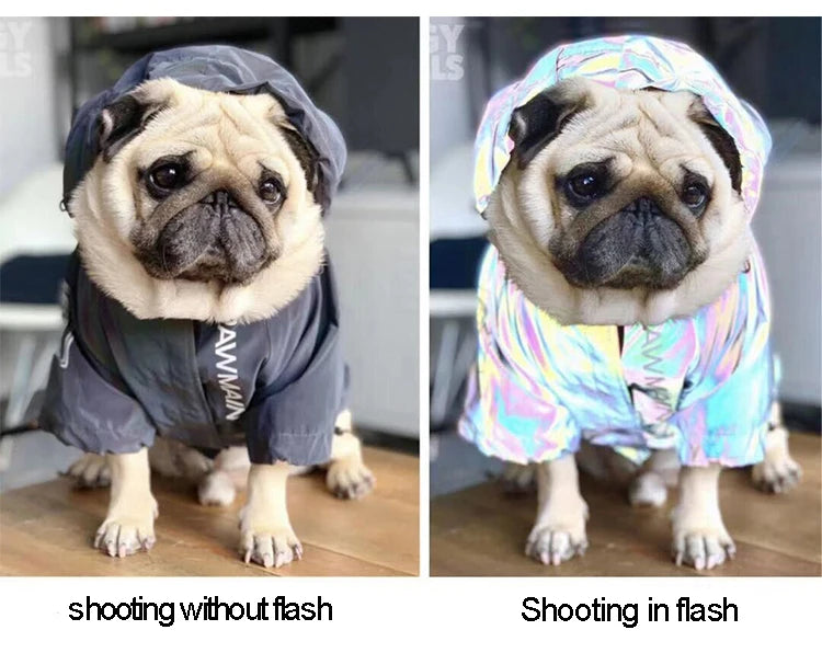Waterproof Reflective Dog Jacket – Colourful Fashion Coat for All Sizes