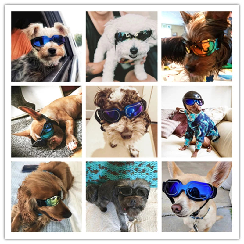 Adjustable Dog Sunglasses & Goggles