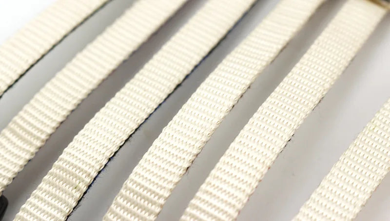 Adjustable Reflective Cat Collar with Bell and Buckle