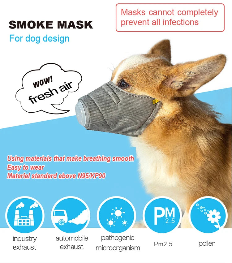 Dog Air Filter Face Mask – Pack of 3