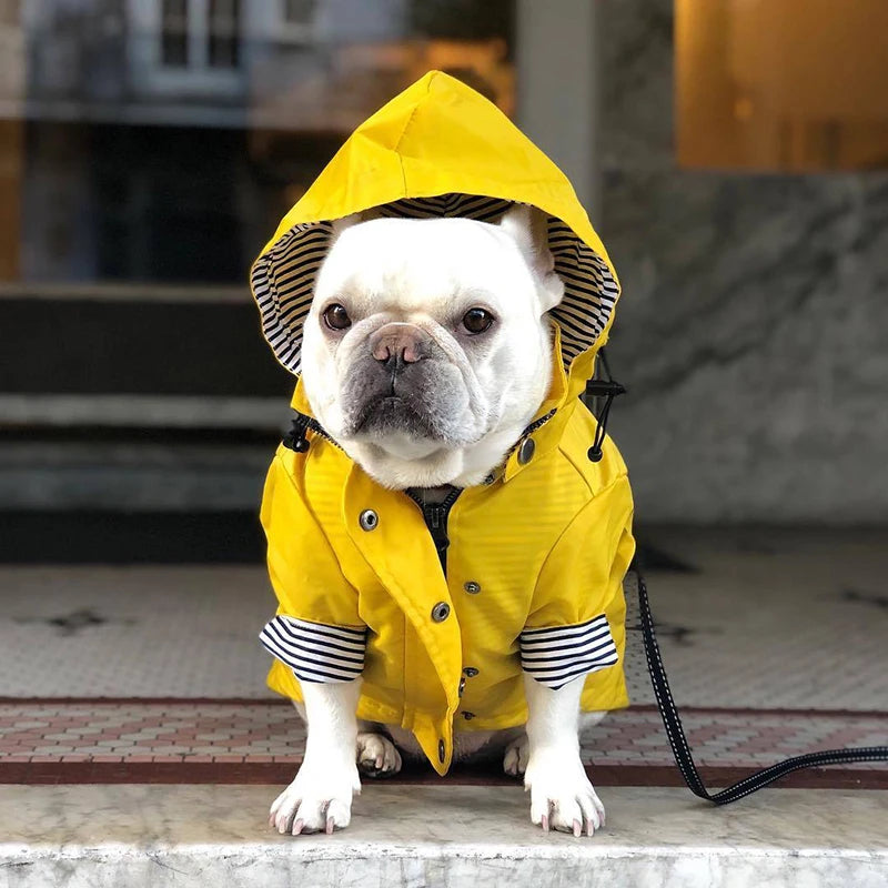 Waterproof Windproof Dog Sport Hoodie Coat