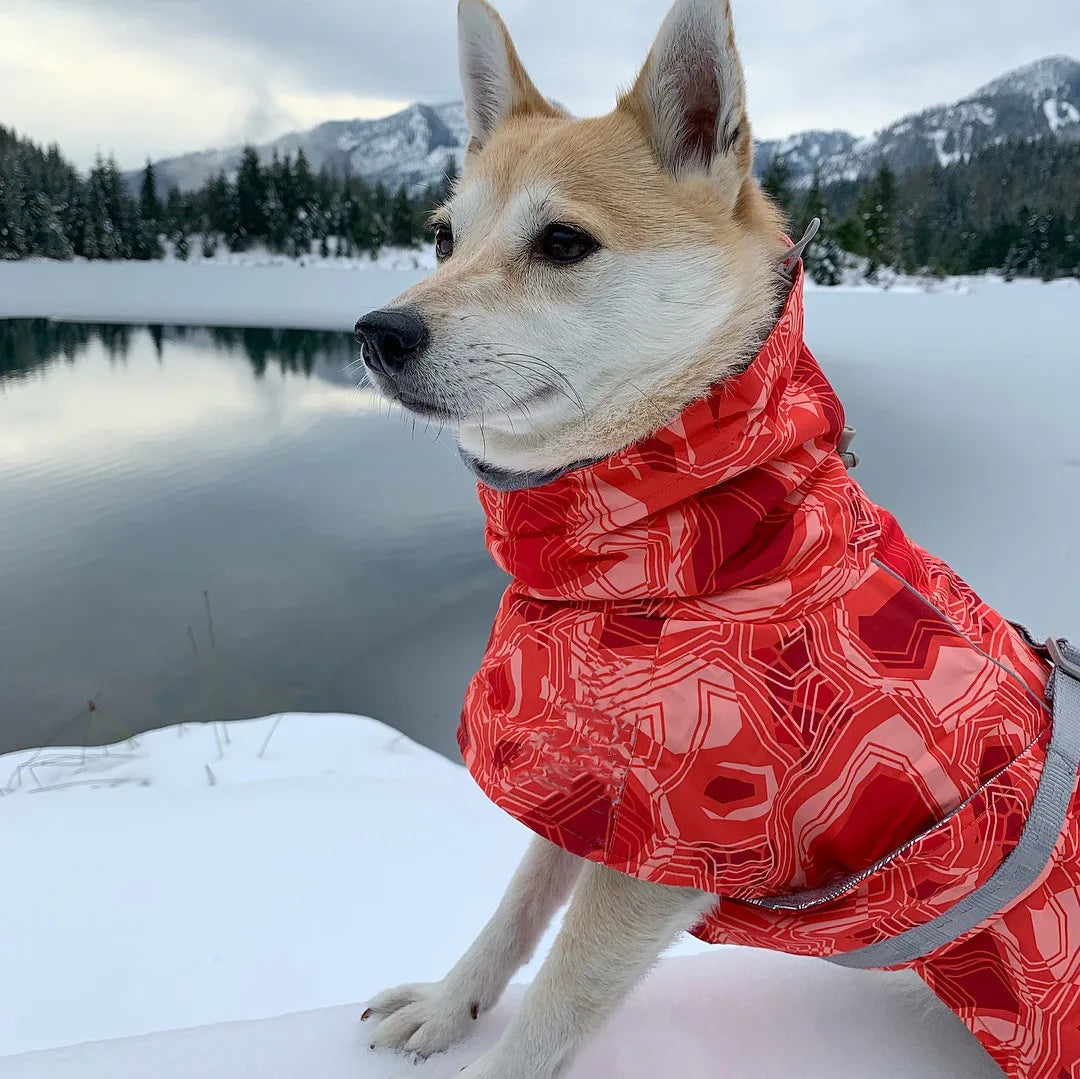 Waterproof Winter Dog Jacket – Warm Outfit for Small, Medium & Large Dogs