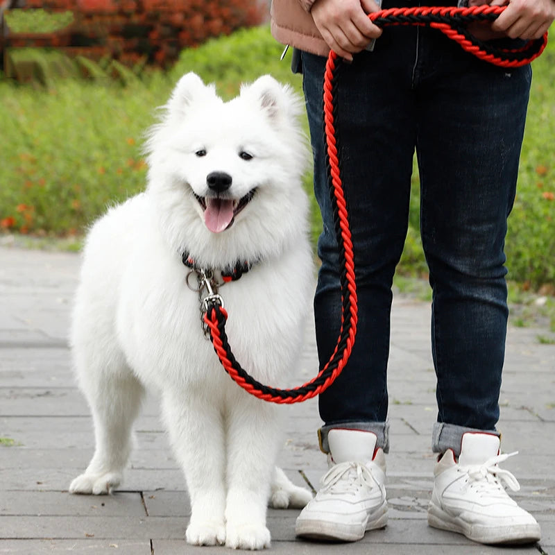 Heavy-Duty Nylon Dog Lead