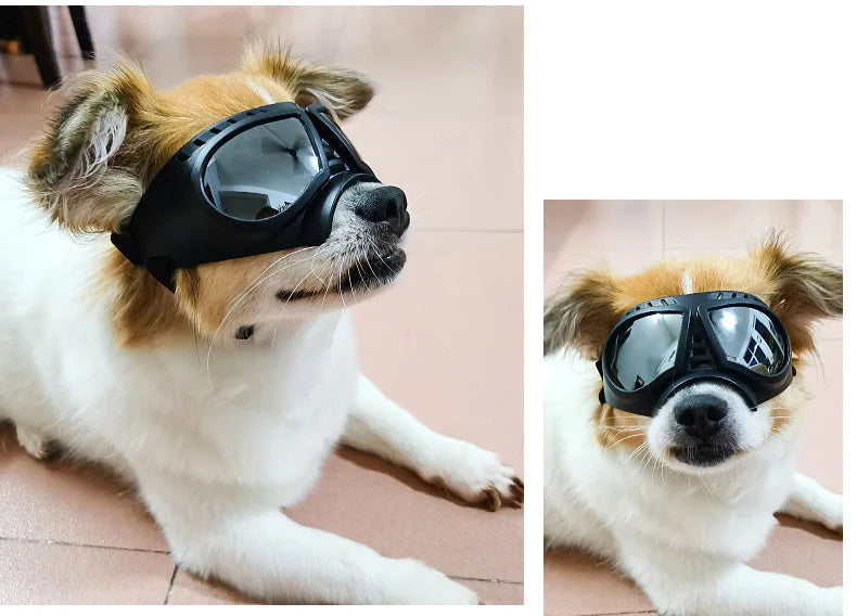 UV Protection Windproof Dog Goggles & Sunglasses