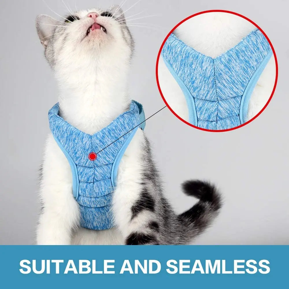 Anti-Escape Kitten Harness & Leash Set