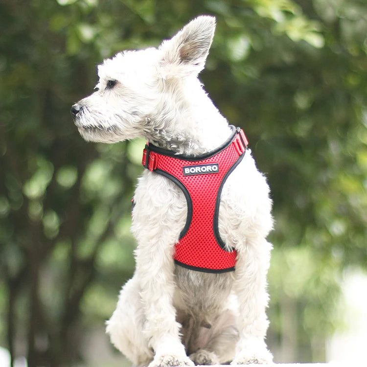 Breathable Mesh Vest Harness for Dogs & Cats