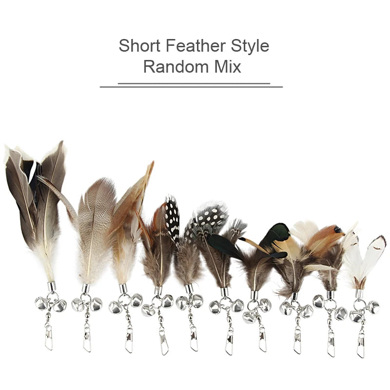 Feather Cat Teaser Toy Replacement Pack (10pcs)