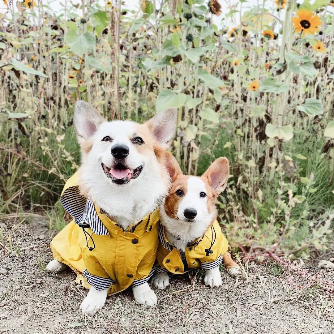 Waterproof Windproof Dog Sport Hoodie Coat