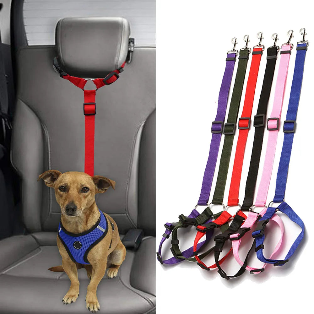 Harnais réglable et ceinture de sécurité pour chien