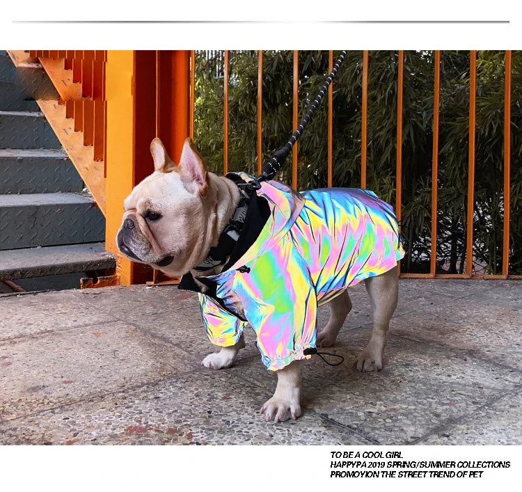Waterproof Reflective Dog Jacket – Colourful Fashion Coat for All Sizes