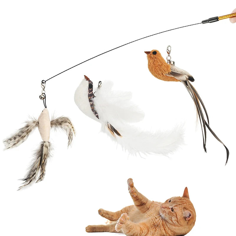 Feather Bird Cat Teaser Toy Set (2 Pack)