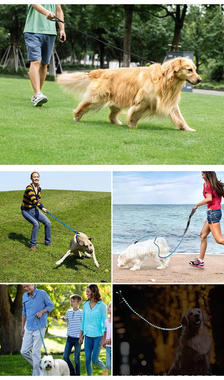 Reflective Dog Leash with Poop Bag Dispenser