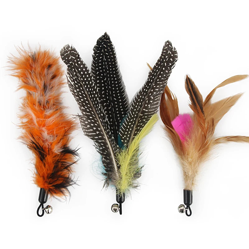 Feather Cat Teaser Stick Replacement Heads (5 Pack)