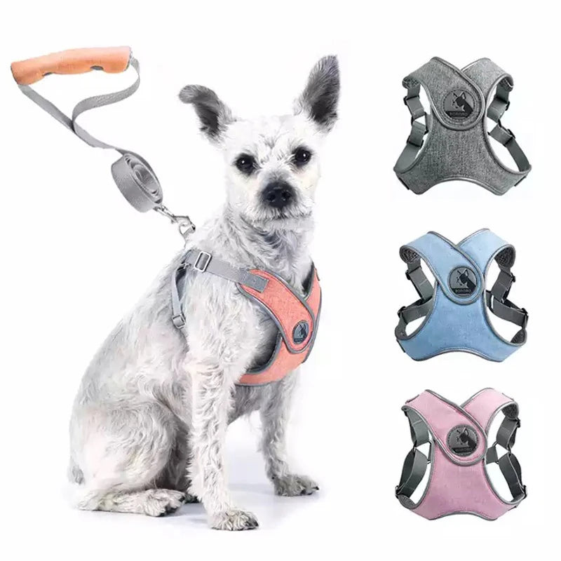 Reflective Mesh Dog Harness & Leash Set for Small & Medium Dogs