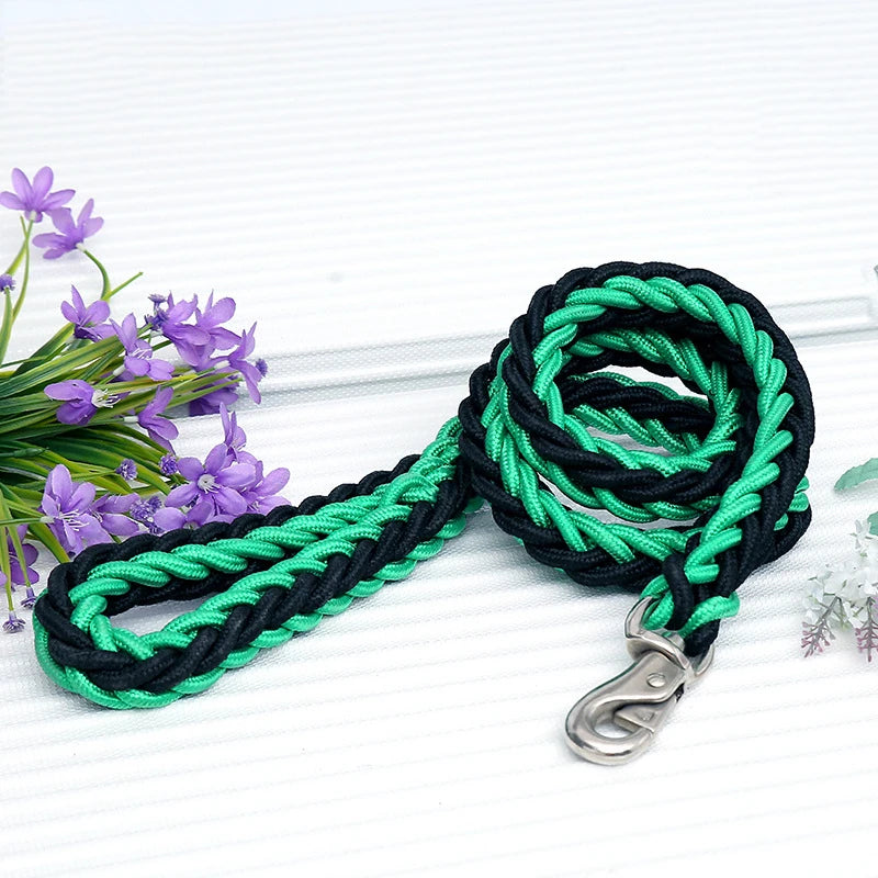 Heavy-Duty Nylon Dog Lead