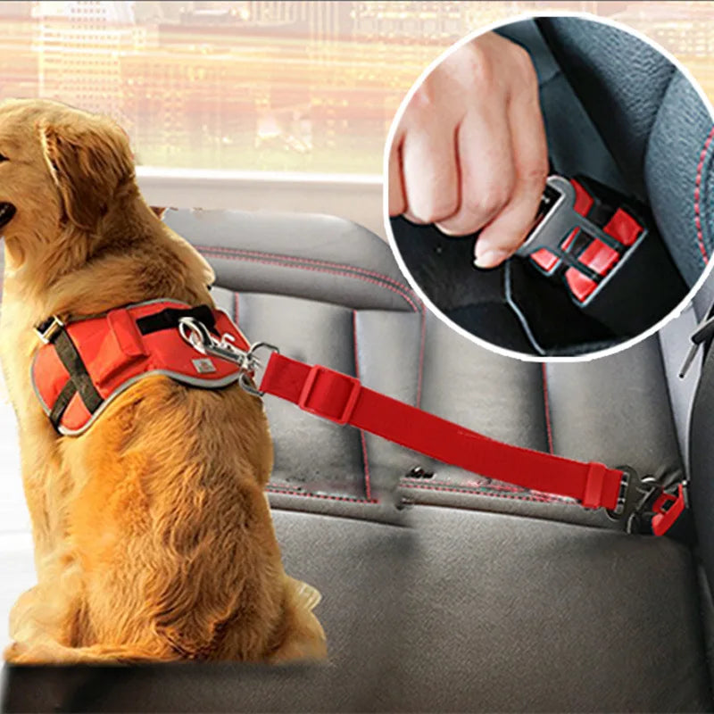 Adjustable Dog Leash & Car Seat Belt for Small, Medium & Large Dogs