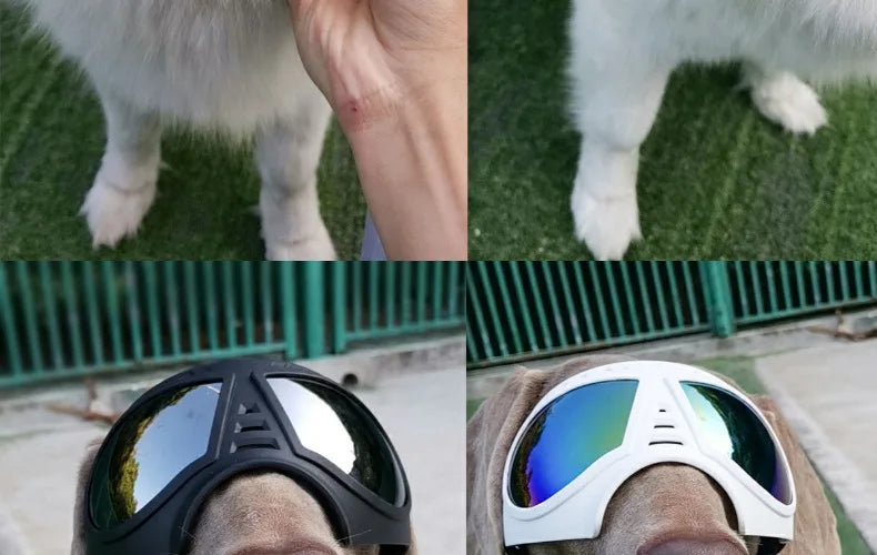 UV Protection Windproof Dog Goggles & Sunglasses