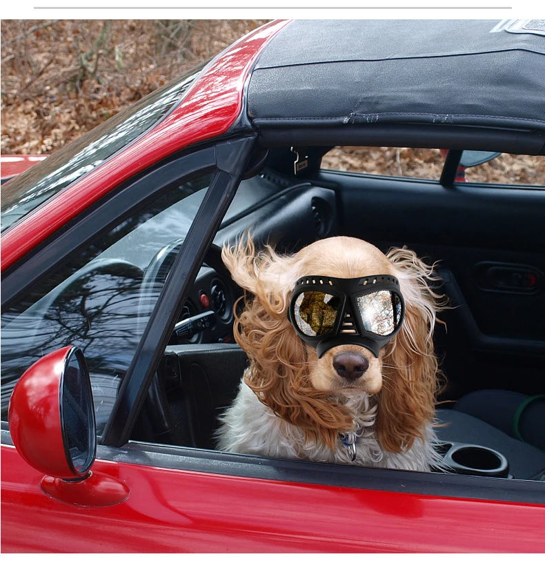 UV Protection Windproof Dog Goggles & Sunglasses