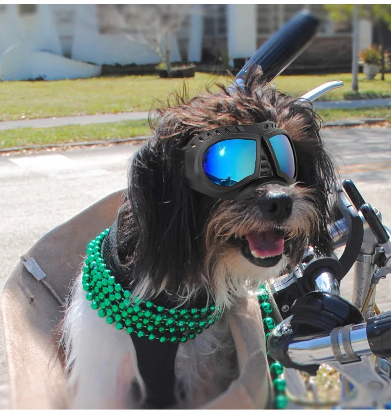 UV Protection Windproof Dog Goggles & Sunglasses