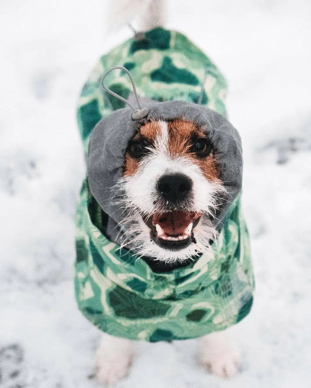 Waterproof Winter Dog Jacket – Warm Outfit for Small, Medium & Large Dogs