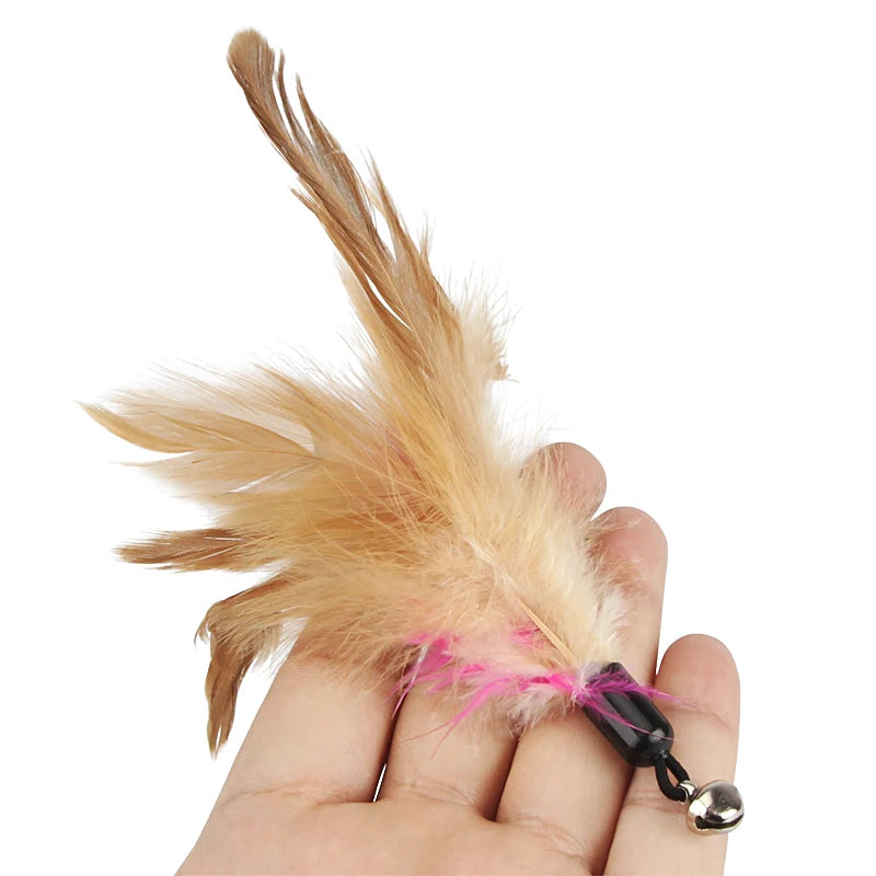 Feather Cat Teaser Stick Replacement Heads (5 Pack)