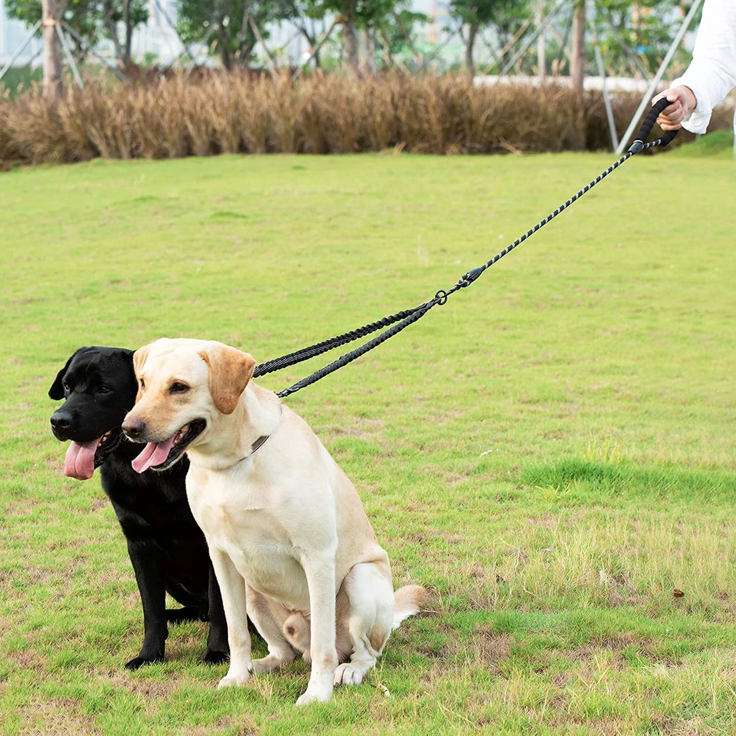 Dual Dog Coupler Leash – Walk 2 Dogs at Once