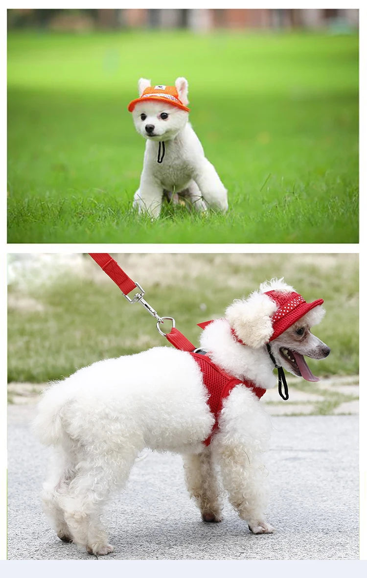 Breathable Sun Hat for Small Dogs & Cats | Mesh Canvas Cap