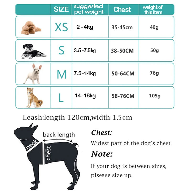 Reflective Mesh Dog Harness & Leash Set for Small & Medium Dogs