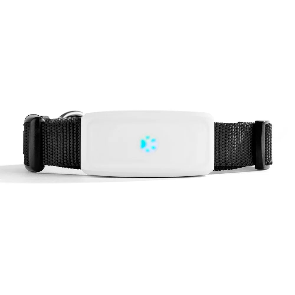 Compact Pet GPS Tracker