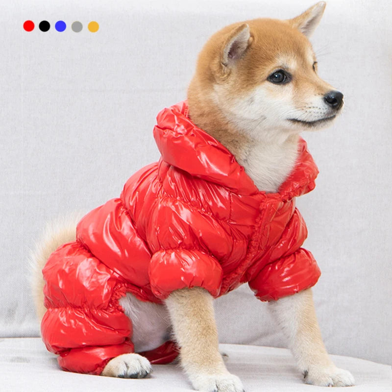 Waterproof Winter Down Jacket for Small Dogs