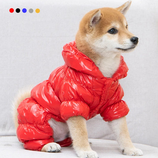 Waterproof Winter Down Jacket for Small Dogs