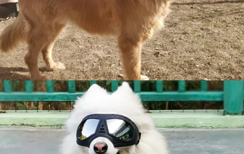 UV Protection Windproof Dog Goggles & Sunglasses