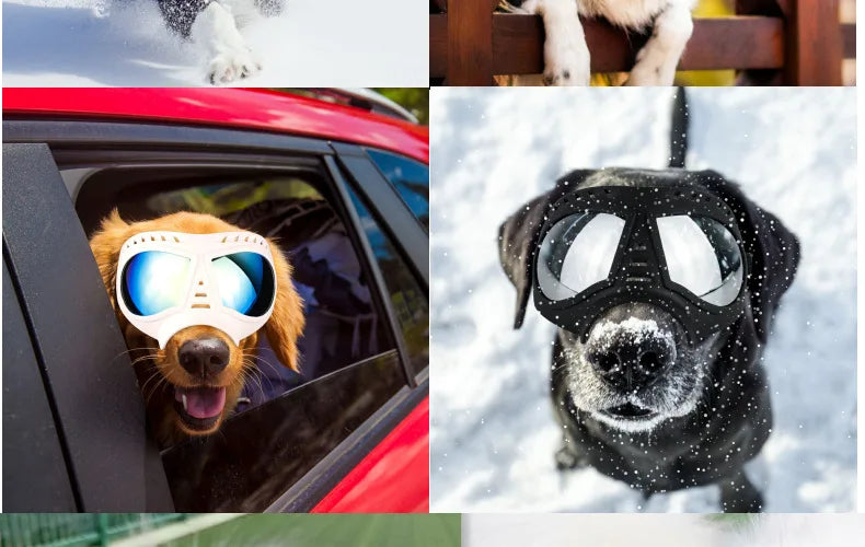 UV Protection Windproof Dog Goggles & Sunglasses