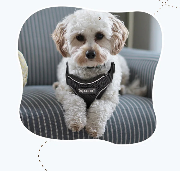 Breathable Escape-Proof Pet Harness Vest with Reflective Strips