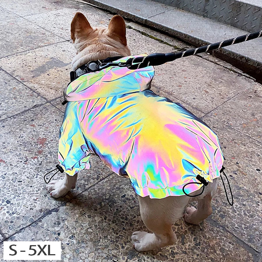 Waterproof Reflective Dog Jacket – Colourful Fashion Coat for All Sizes
