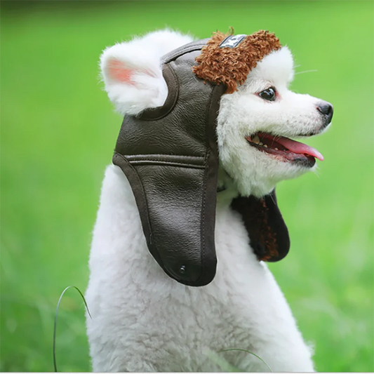 Cashmere Winter Hat for Small Dogs & Puppies