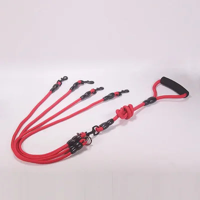Multi-Dog Coupler Leash – Walk 2, 3 or 4 Dogs at Once