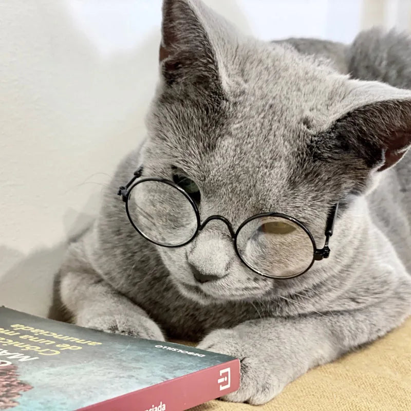 Vintage Round Pet Sunglasses for Cats & Small Dogs
