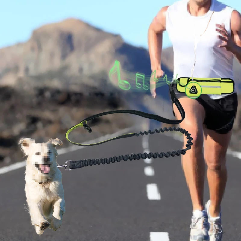 Hands-Free Running Dog Leash Set with Waist Bag & Reflective Belt
