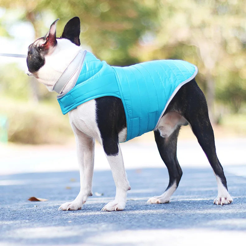 Reversible Waterproof Winter Down Jacket for Small & Medium Dogs