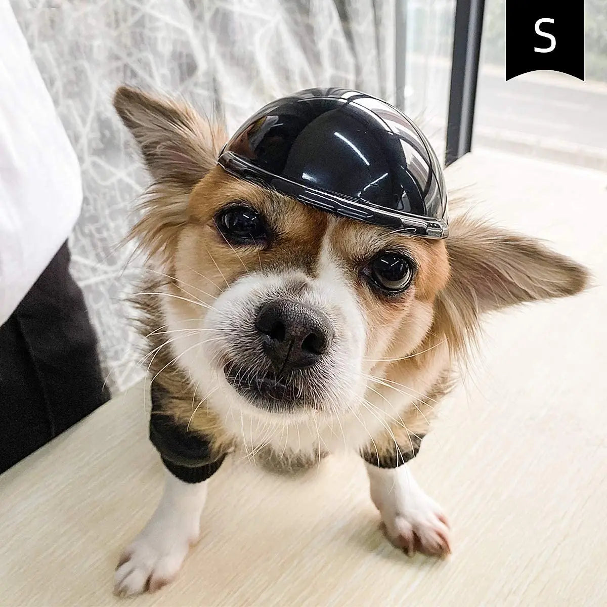 Motorcycle Helmet Hat for Dogs & Cats