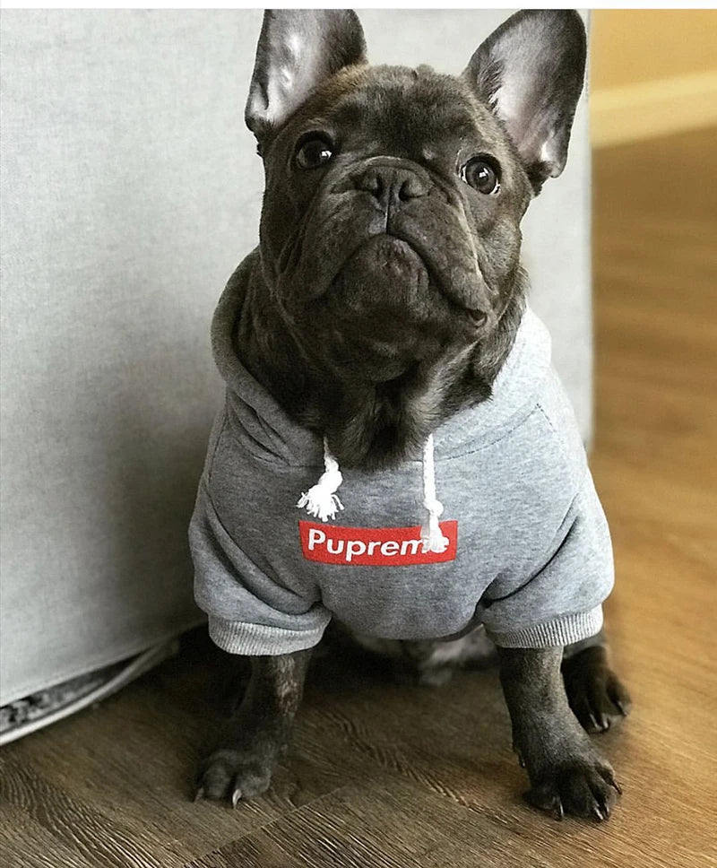 Plush Cotton Hoodie Jacket for Dogs & Cats