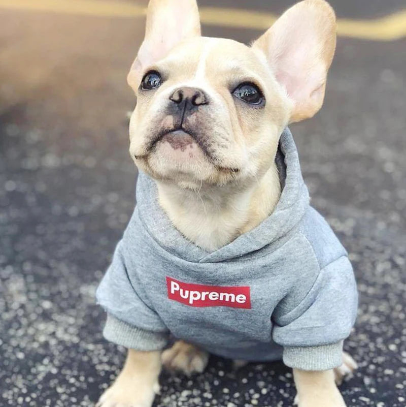 Plush Cotton Hoodie Jacket for Dogs & Cats