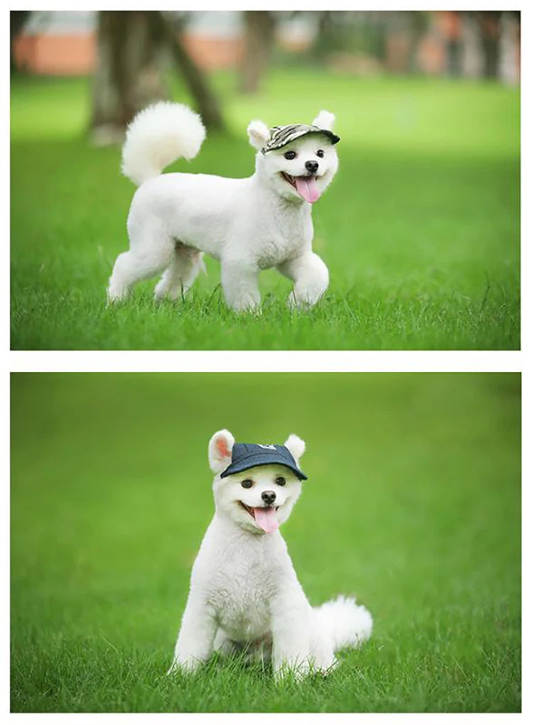 Fashion Print Pet Baseball Cap for Dogs & Cats