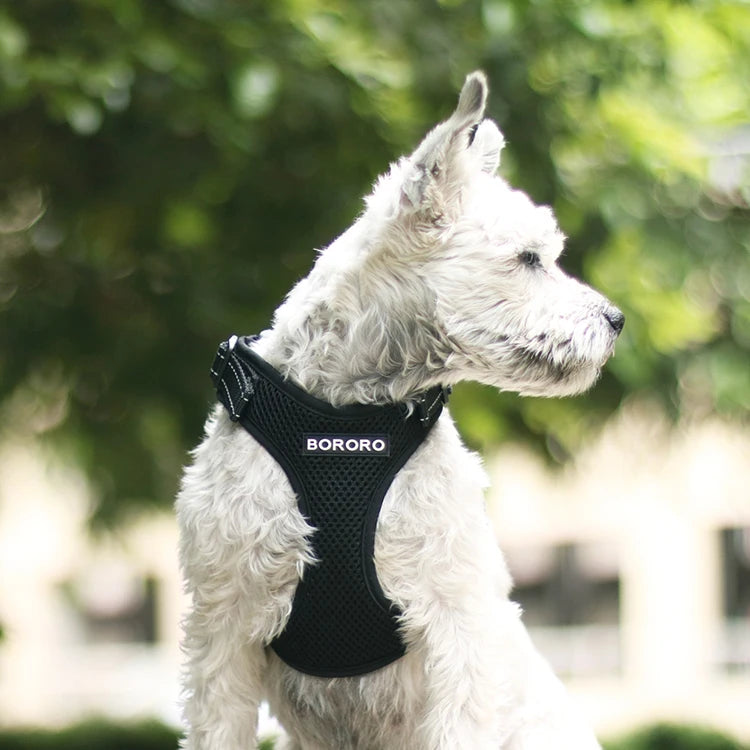 Breathable Mesh Vest Harness for Dogs & Cats
